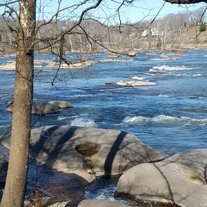 Meet your Posher, Alisa